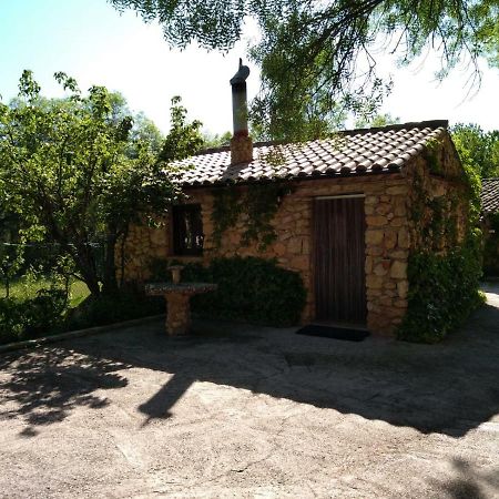 Casas Rurales Picos Del Oso Riópar 外观 照片