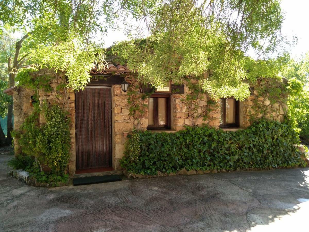 Casas Rurales Picos Del Oso Riópar 外观 照片