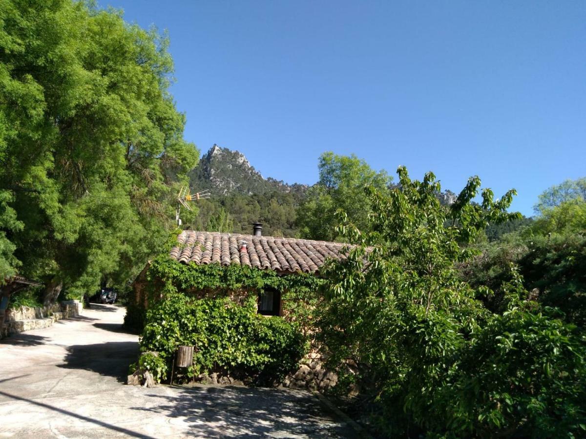 Casas Rurales Picos Del Oso Riópar 外观 照片